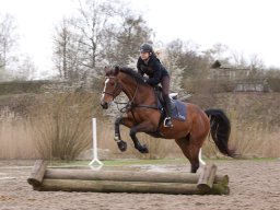 web-8745